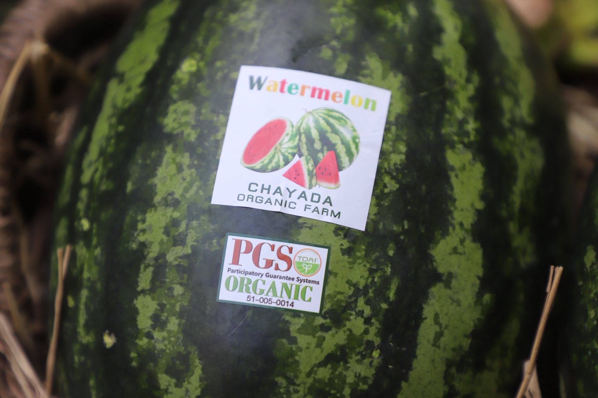 title - ”พลิกโฉมเกษตรกรสู่ผู้ประกอบการ“ ส.ป.ก.ลำพูน โชว์ความสำเร็จเกษตรอินทรีย์ครบวงจร ตั้งแต่แปลงปลูกสู่ตลาดพรีเมียม!!